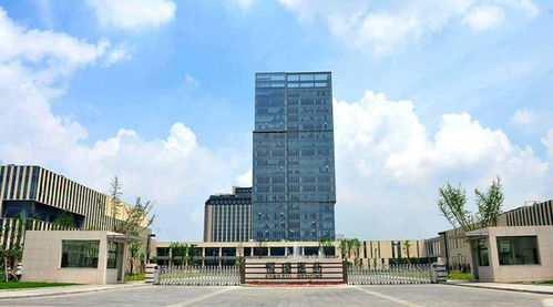 江苏连云港富豪夫妻 身价千亿,各自控制一家上市公司