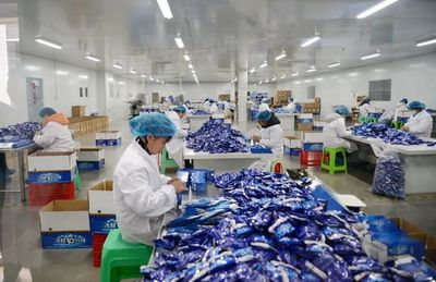 路斌实地调研督导科技有限公司复产复工情况