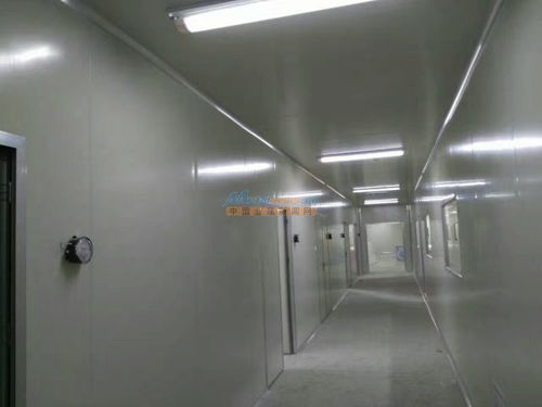 陕西食品厂车间净化工程装修 河南豫净环保科技的解决方案