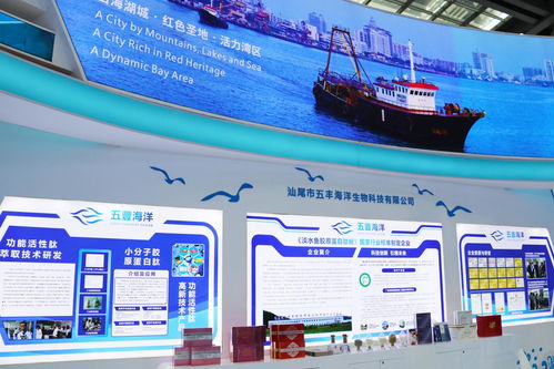 向海图强，携手绘就蓝色发展新画卷——深圳汕尾合作助推海洋经济高质量发展